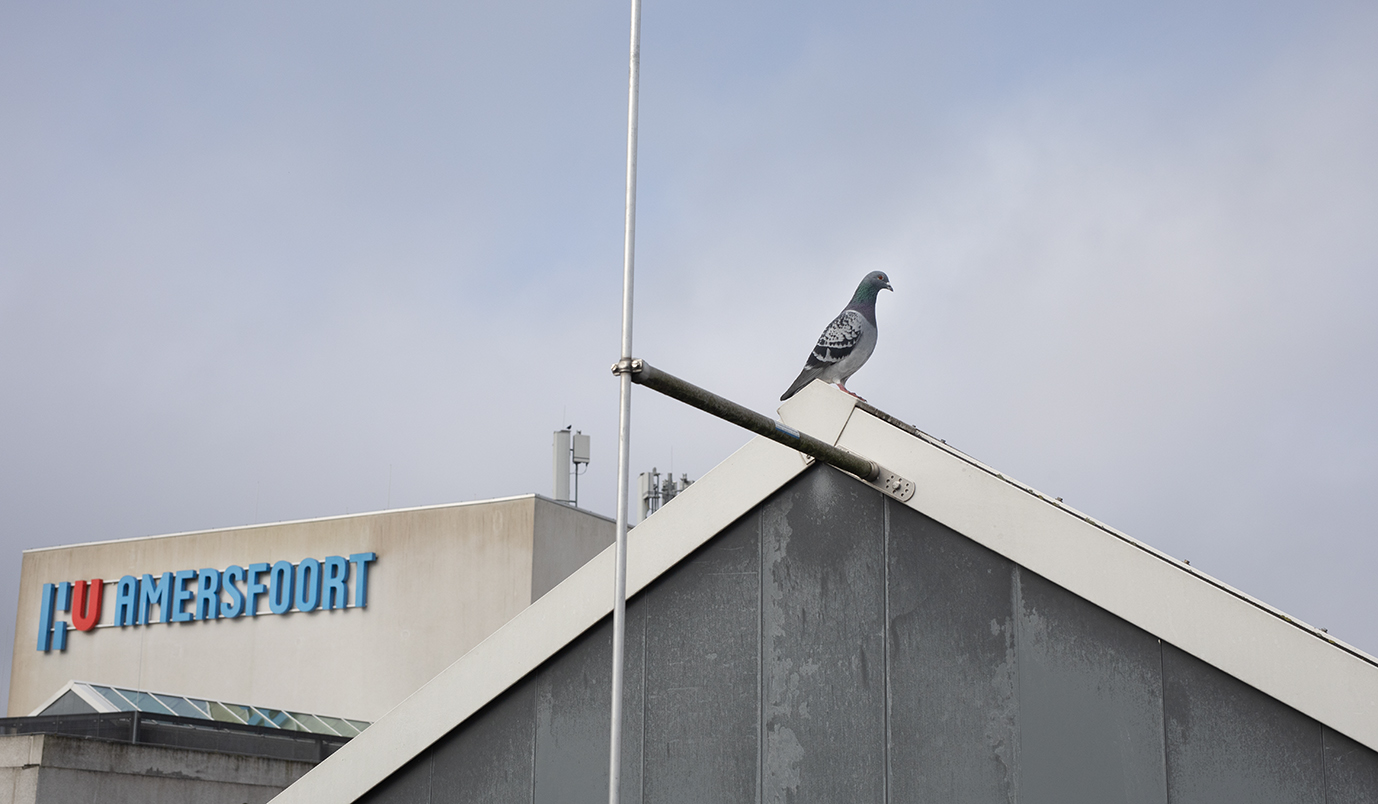 HU Amersfoort tijdelijk gesloten door defecte warmtepomp